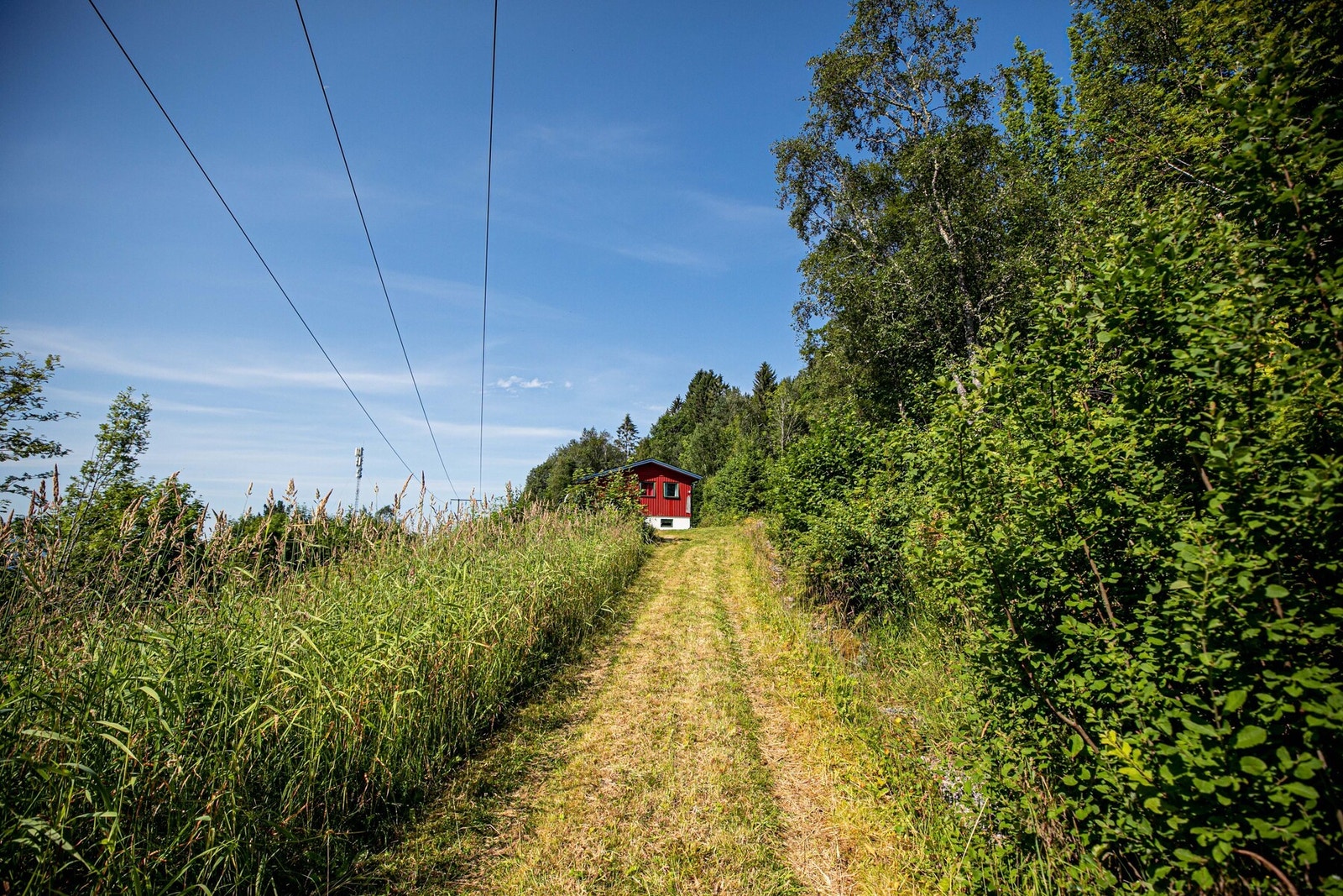 Hytta nås via en enkel oppkjørsel i skrånende terreng Galleribilde