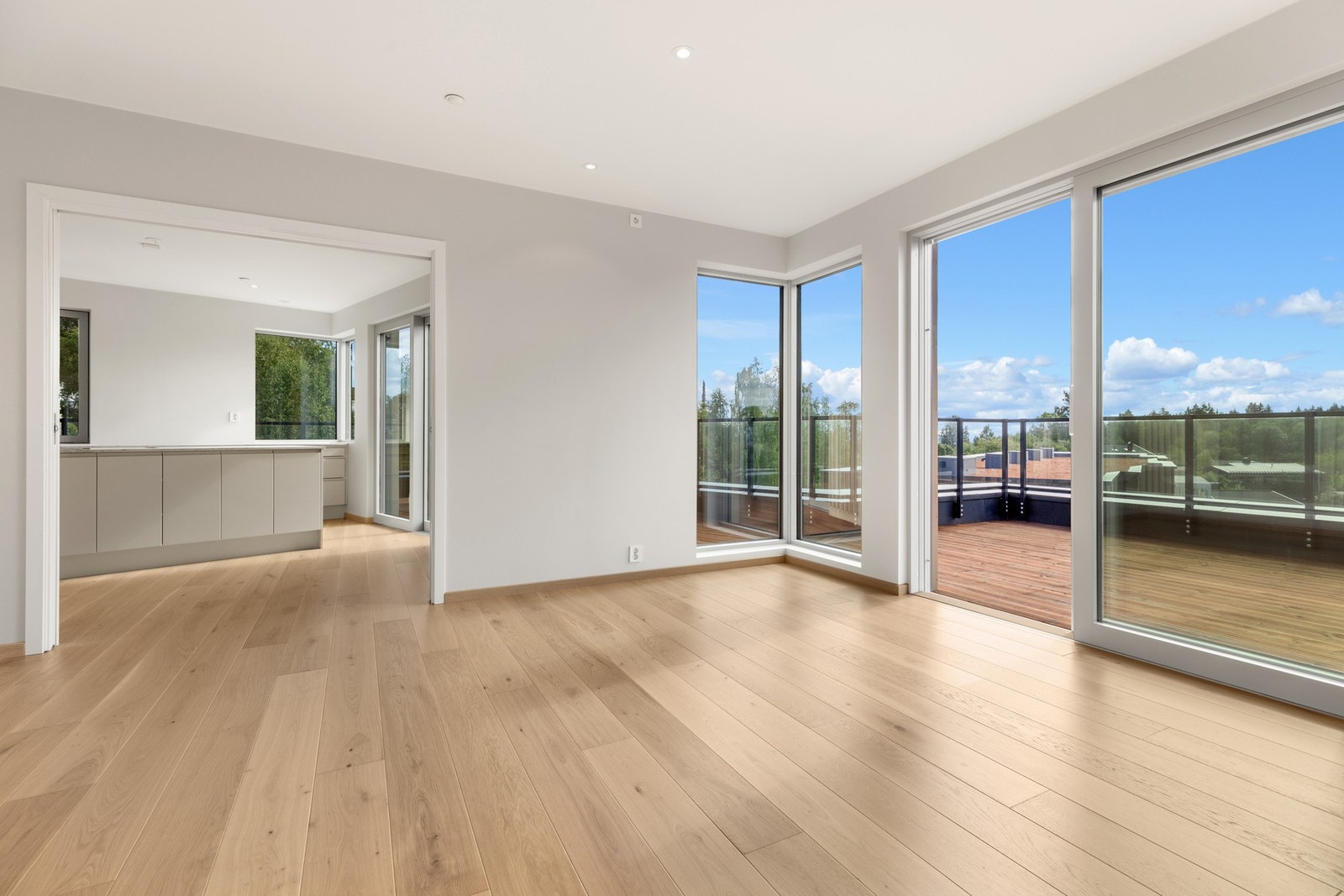 Stor heve/skyvedør fra stuen til terrassen