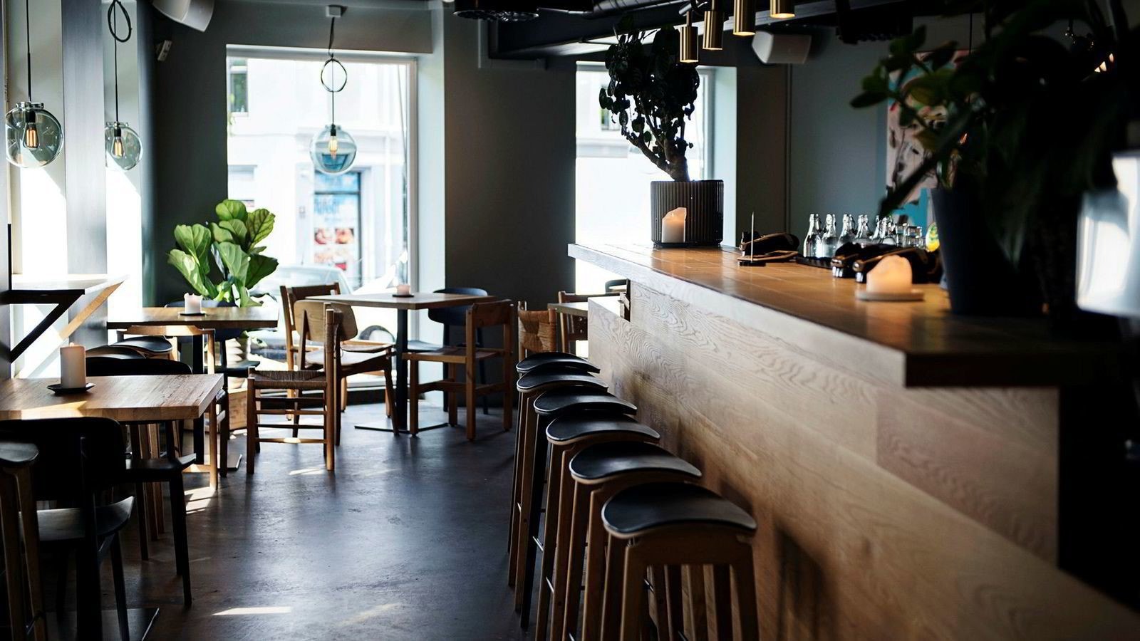 Tøyen | Herlige restaurant Grådi med god stemning og nydelig mat! Galleribilde