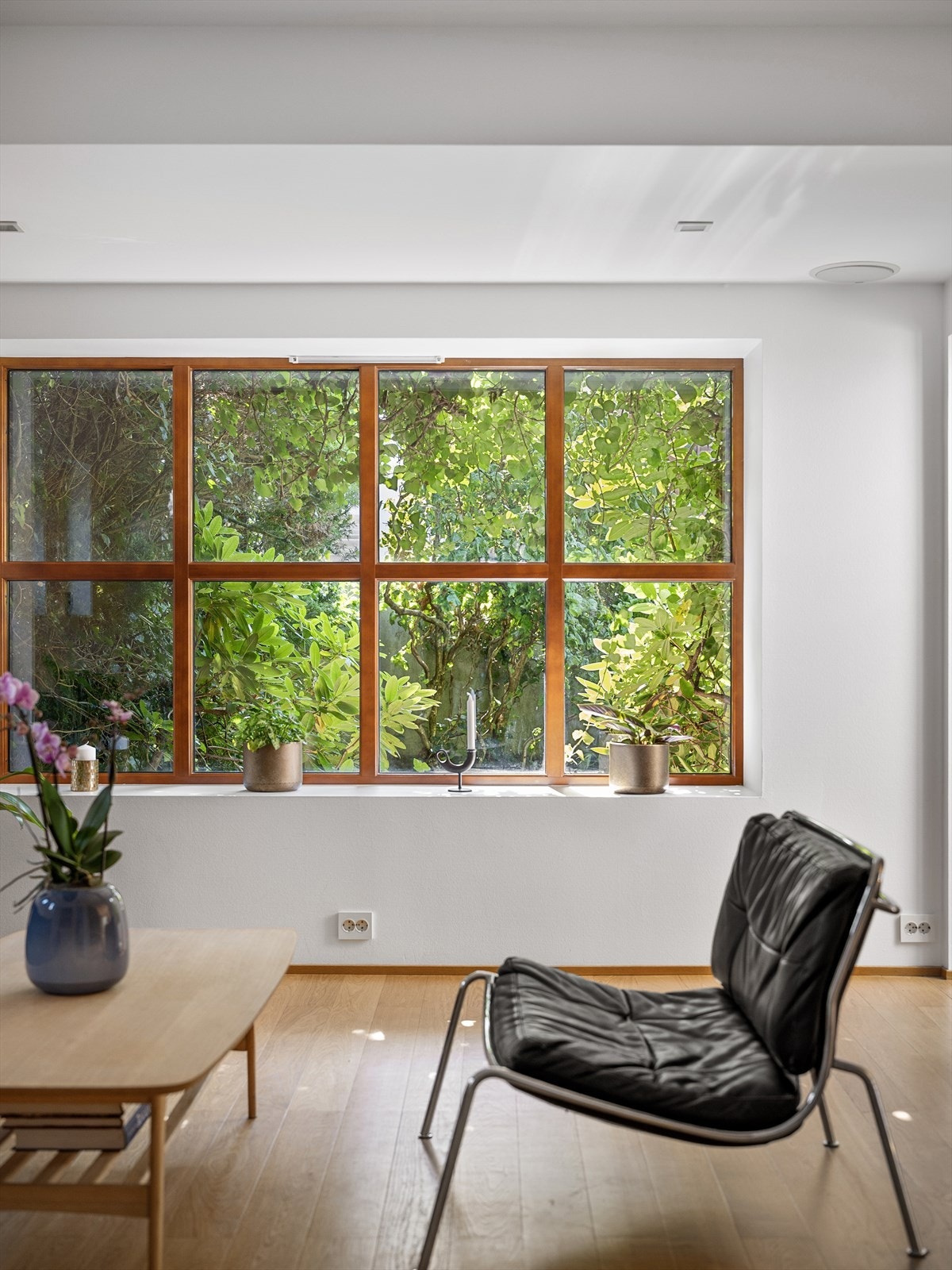 Lesekrok og lounge. En av flere stuer. De grønne lungene i egen oase rundt huset, kommer inn og setter preg på atmosfæren. Galleribilde