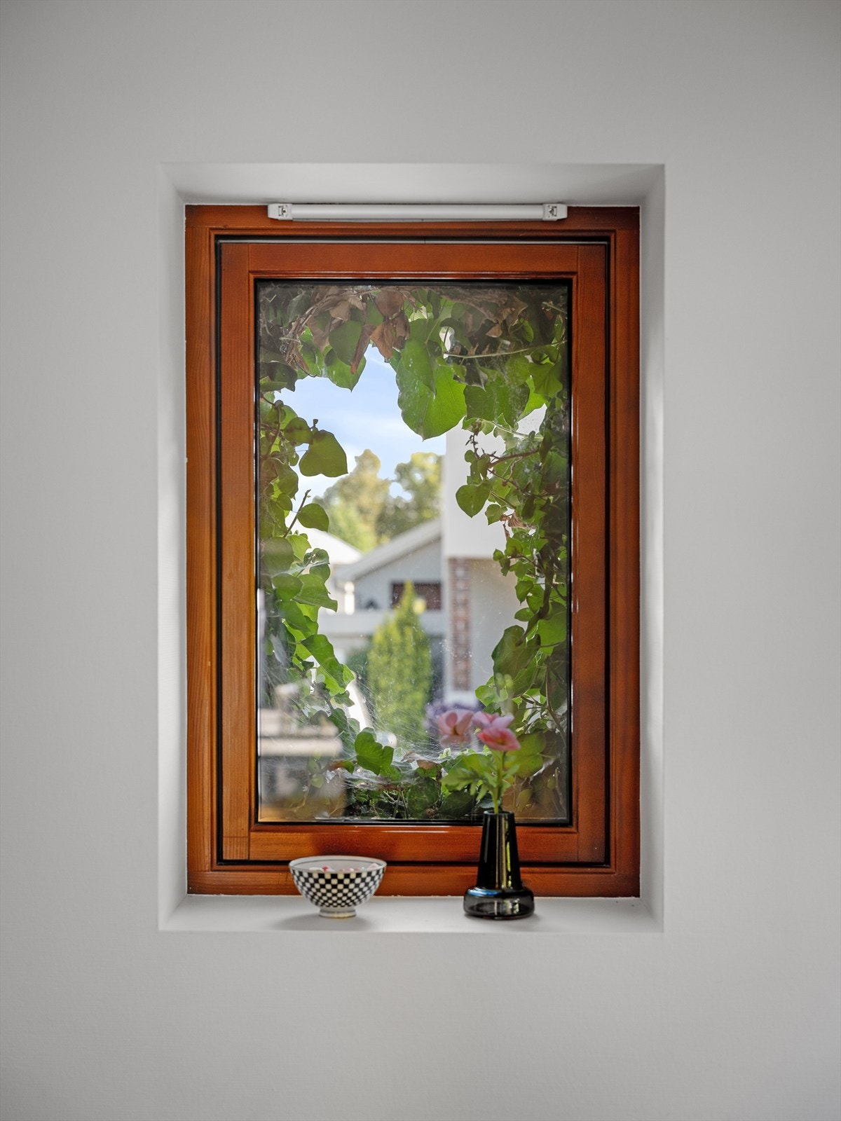 Gjennomgående delikate kontraster. Grønne lunger, eik med teakuttrykk, naturlig lys. Galleribilde