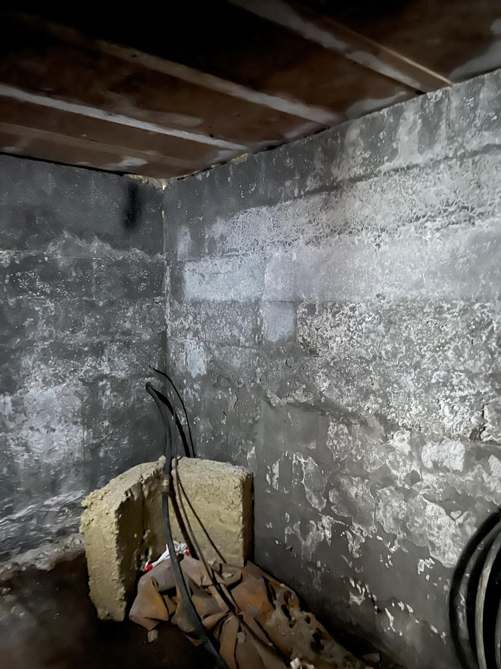 Kjeller Galleribilde