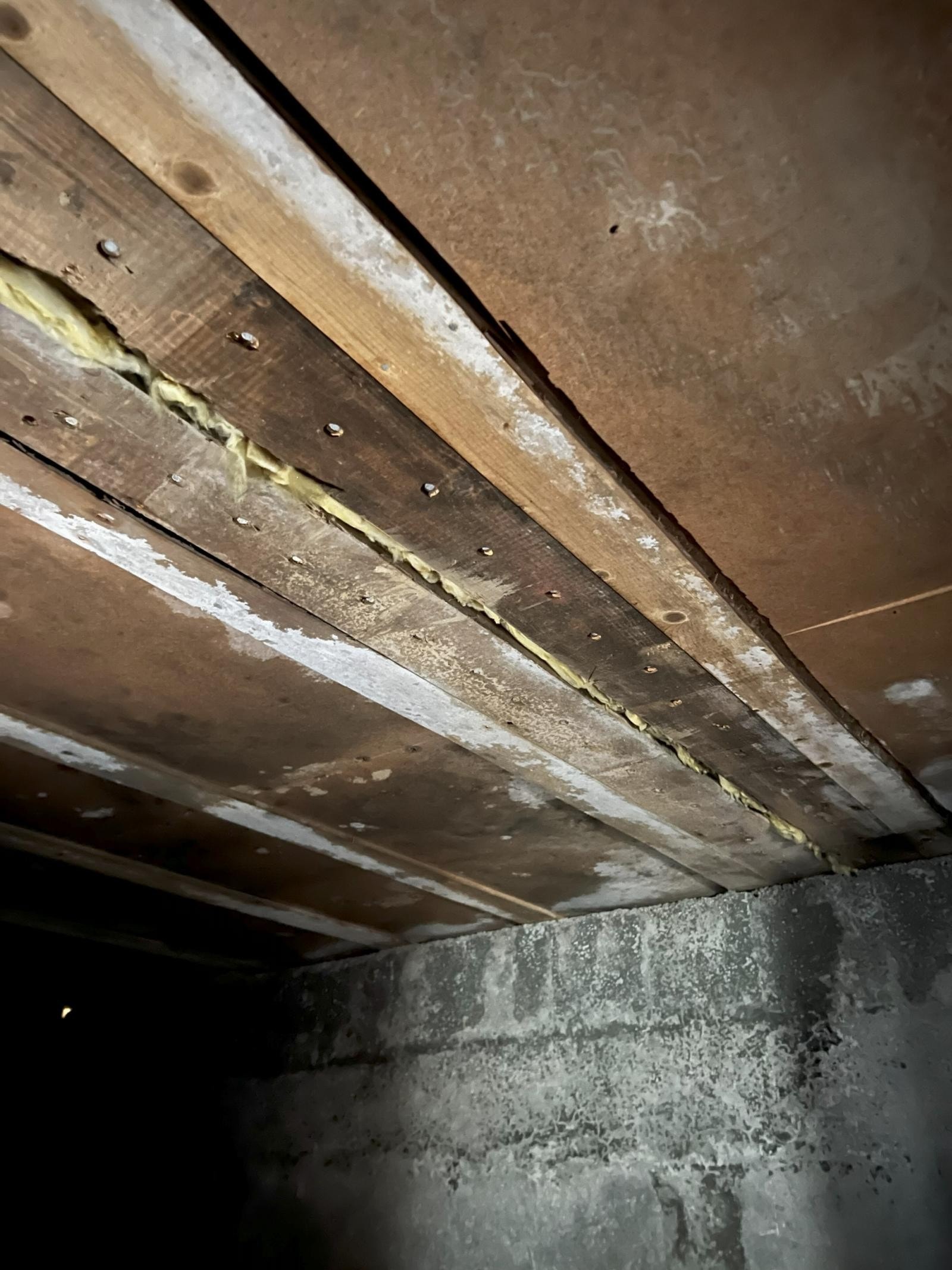 Kjeller Galleribilde