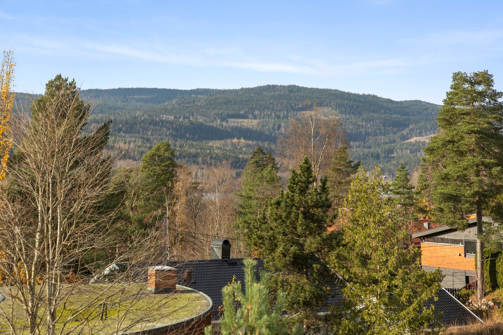 Utsikt. Galleribilde