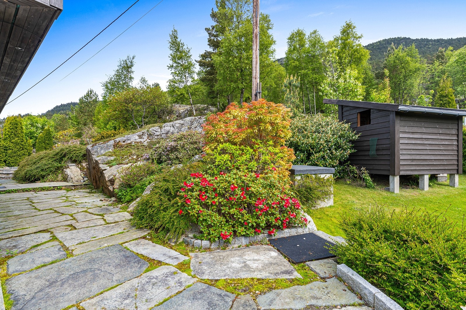 - Uthus på 4m² - Galleribilde