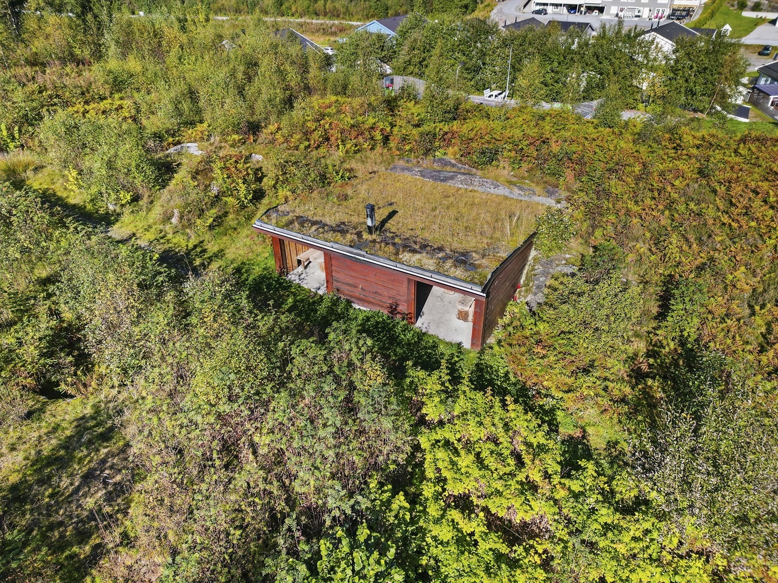 Gapahuk i nærområdet Galleribilde