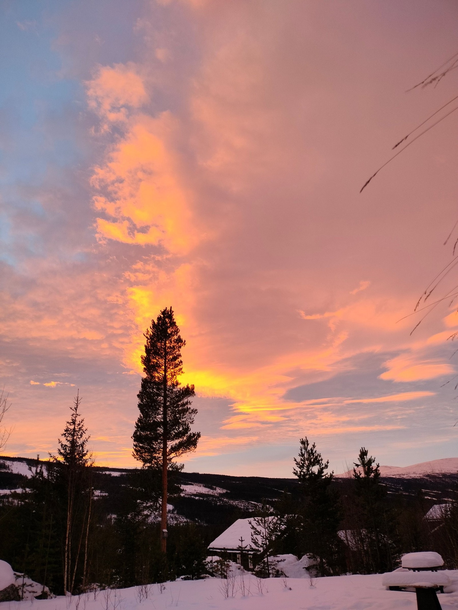 Vinterhimmel Galleribilde