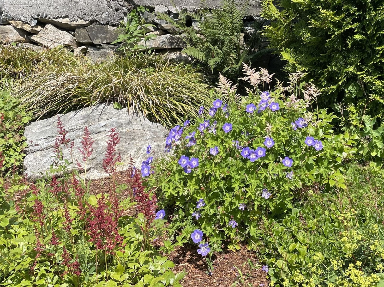 Privat bilde. Galleribilde