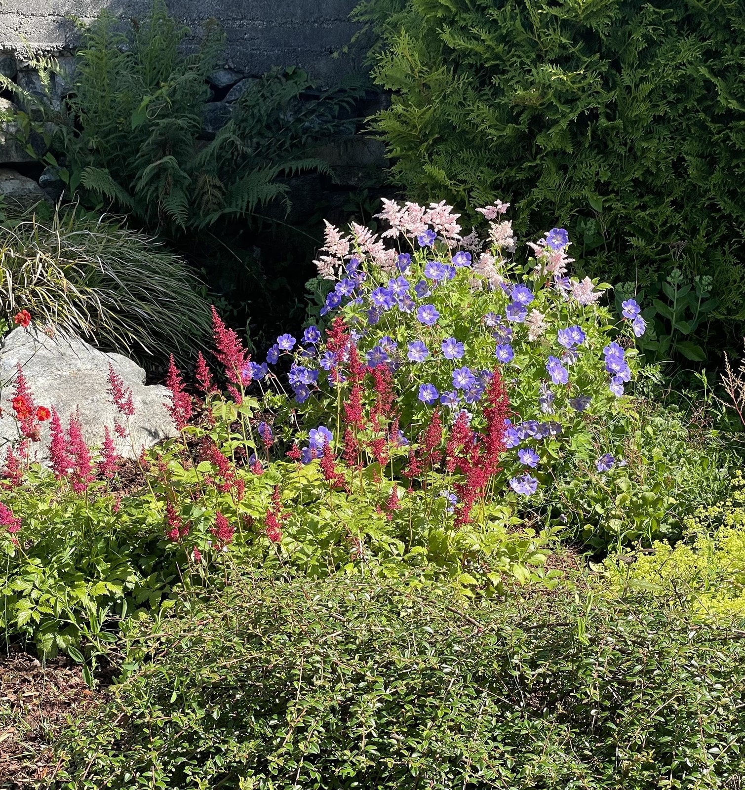 Privat bilde. Galleribilde