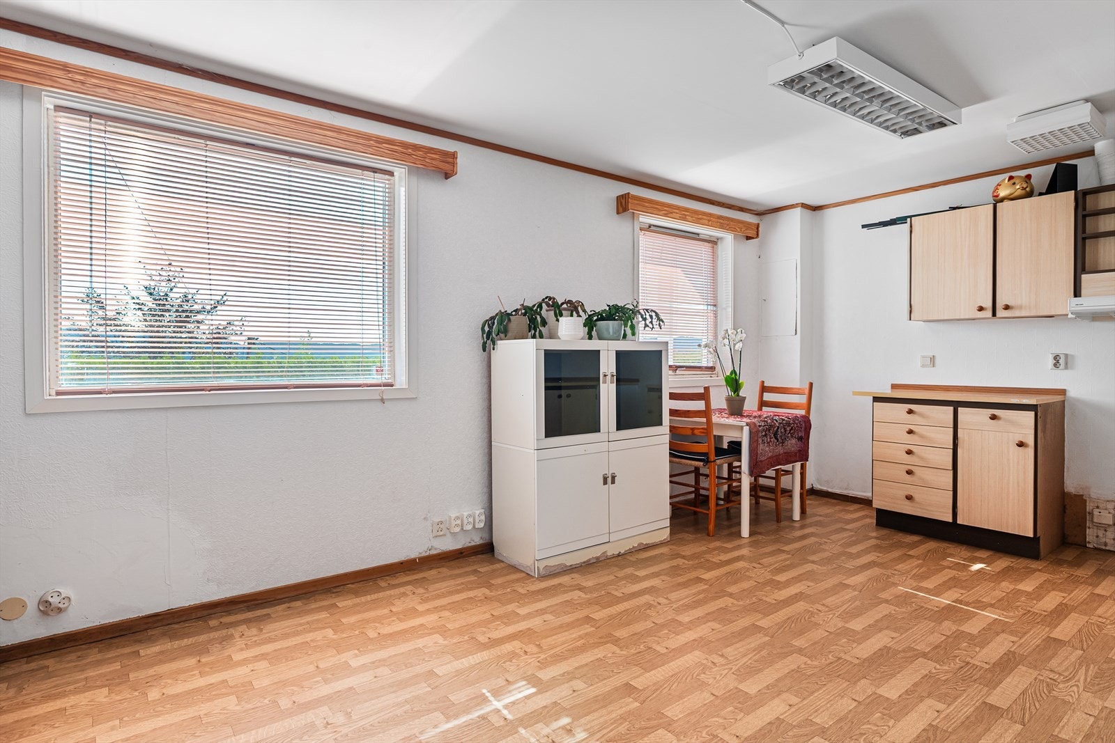 Nåværende eier har ikke leid ut, men brukt hage-leiligheten til oppbevaring og hobby Galleribilde