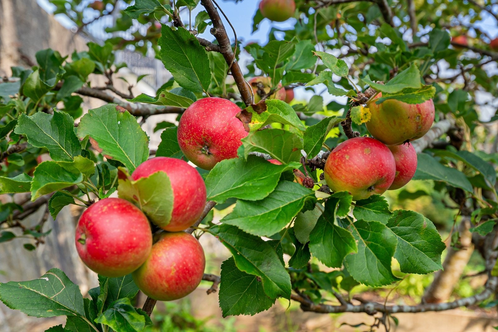 Dette er virkelig en eiendom av det unike - både innhold, utsyn og usjenert Galleribilde