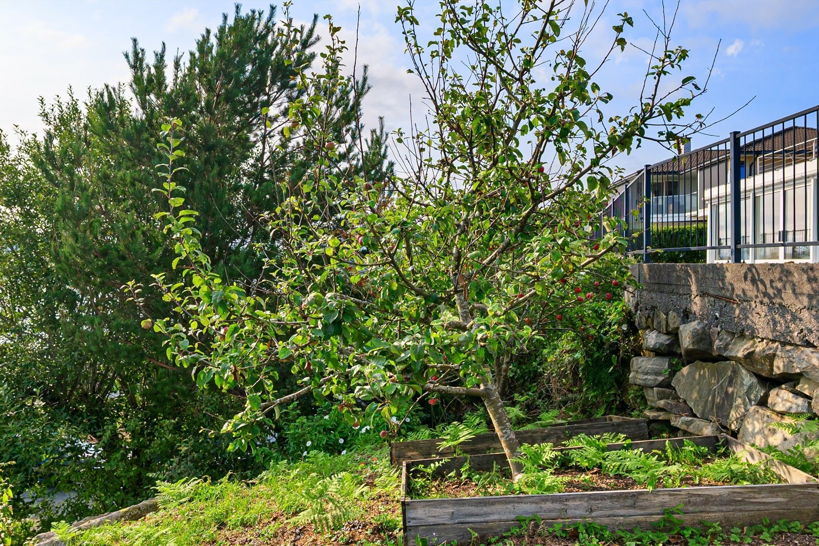Hagen er en fryd med beplantning som kommer tilbake år for år i forskjellige sesonger Galleribilde