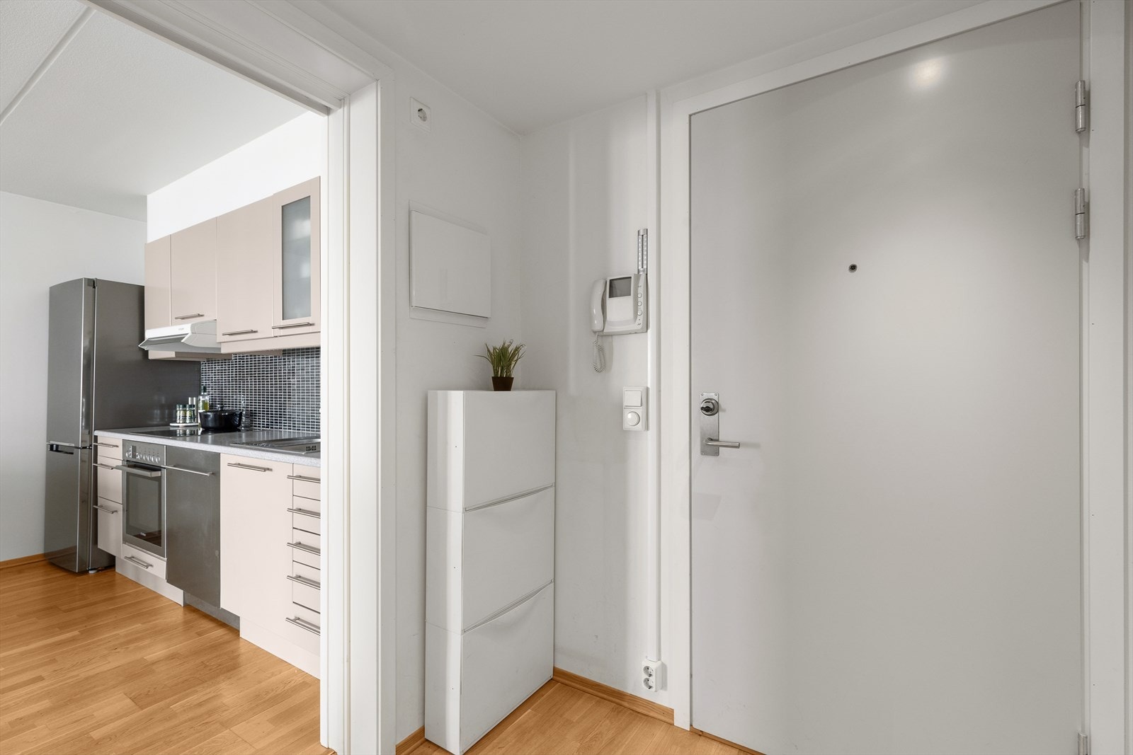 Velkommen inn! Entréen er adskilt fra resten av leiligheten med dør inn til kjøkkenet. Galleribilde