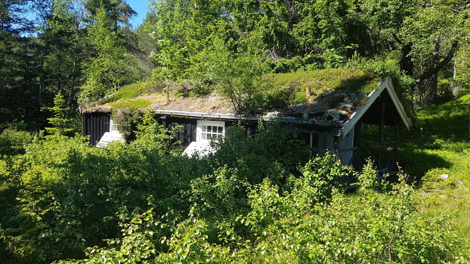 Seterhus Galleribilde