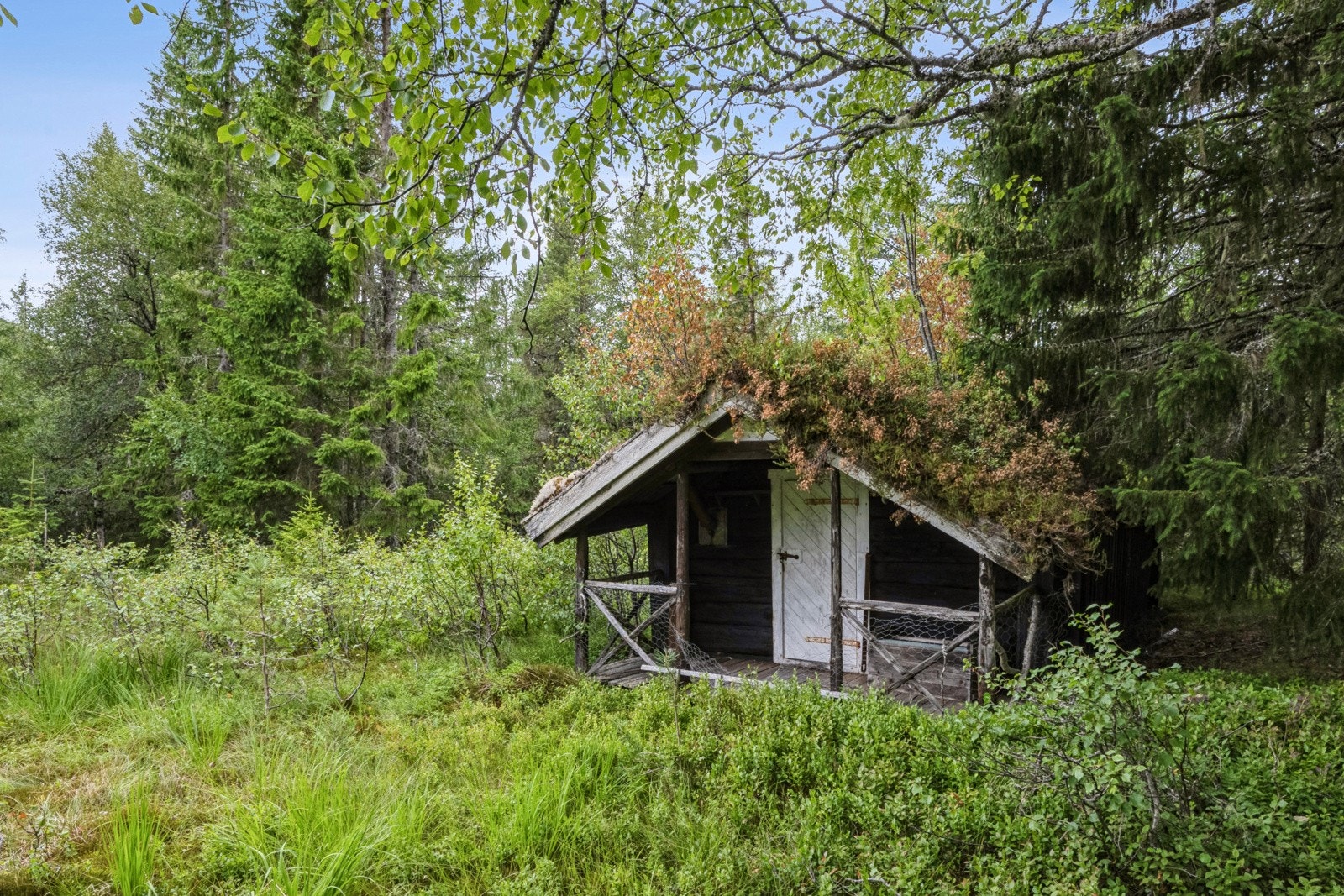 Seterhus Galleribilde