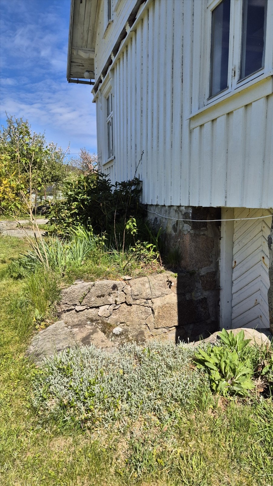 20250508_143802.jpg Galleribilde