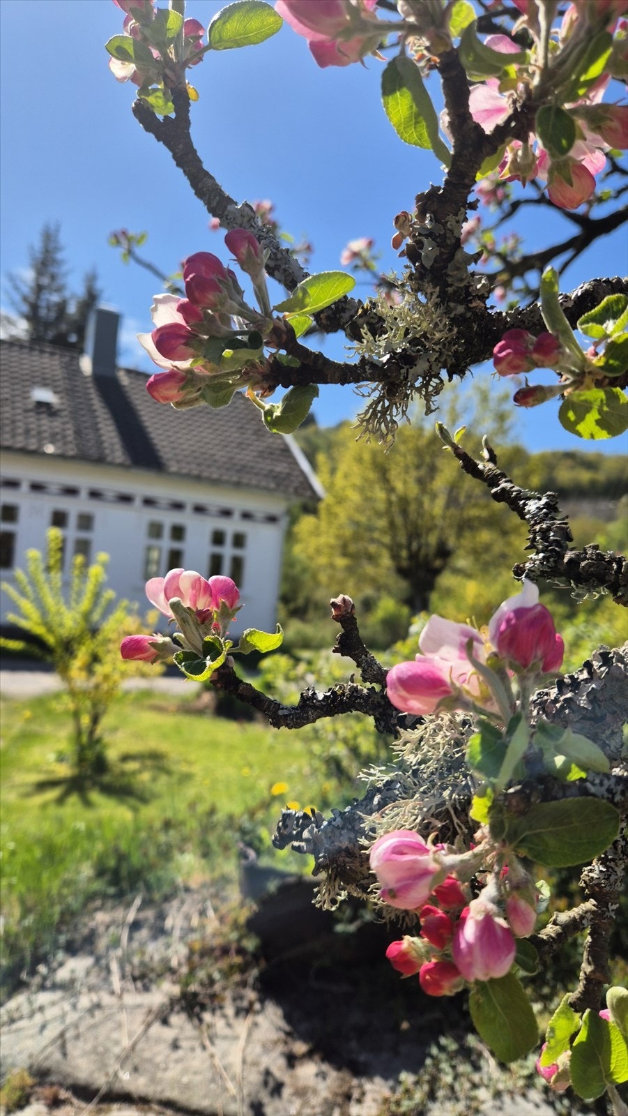 20250508_143337.jpg Galleribilde