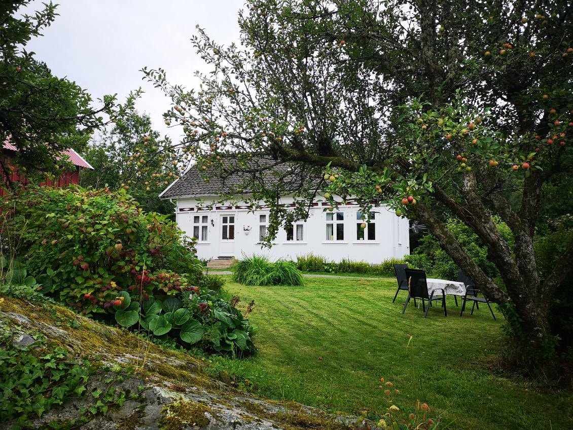 Sommerbilder fra selger. Galleribilde