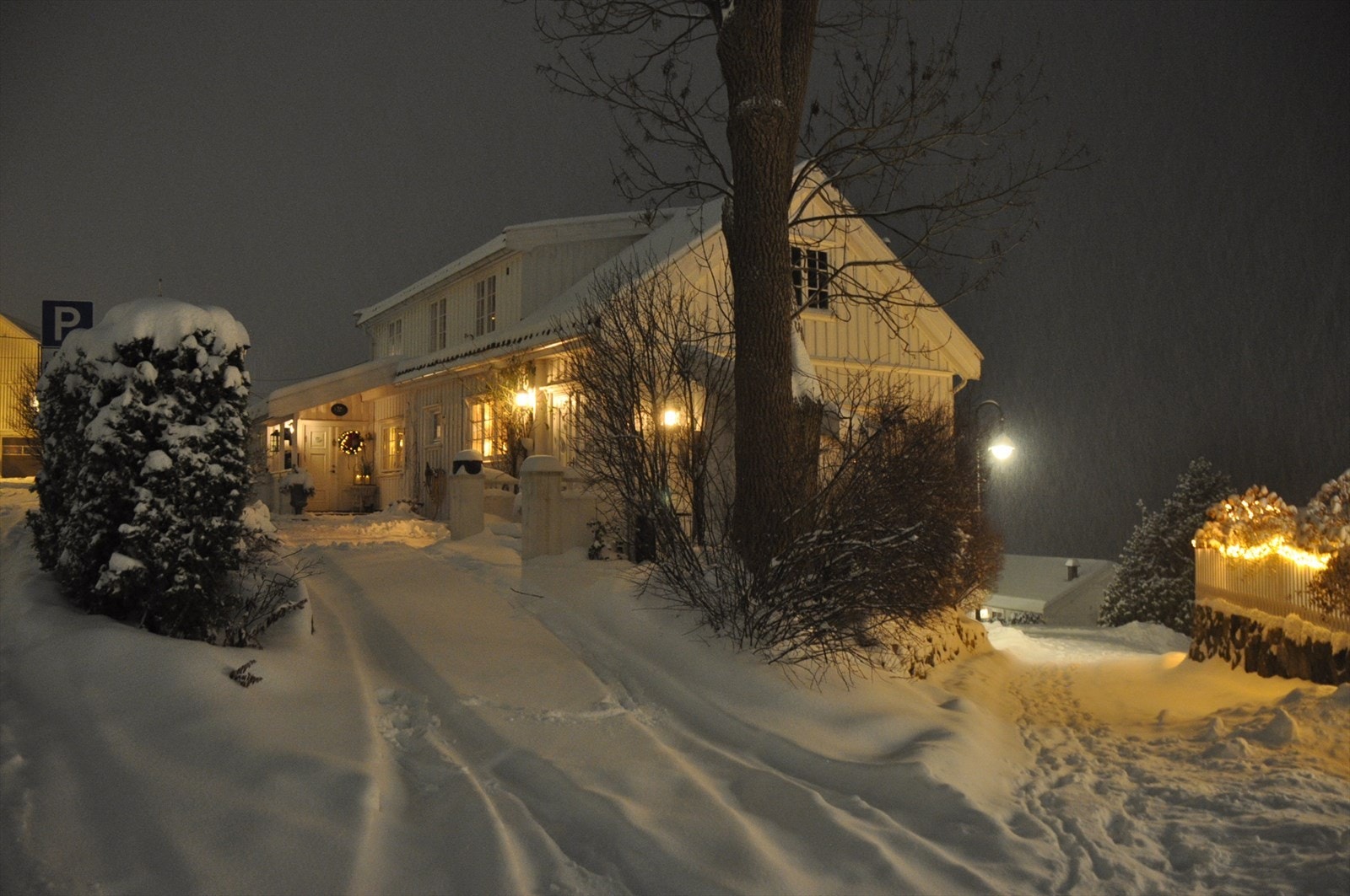 Selgers private bilder. Galleribilde