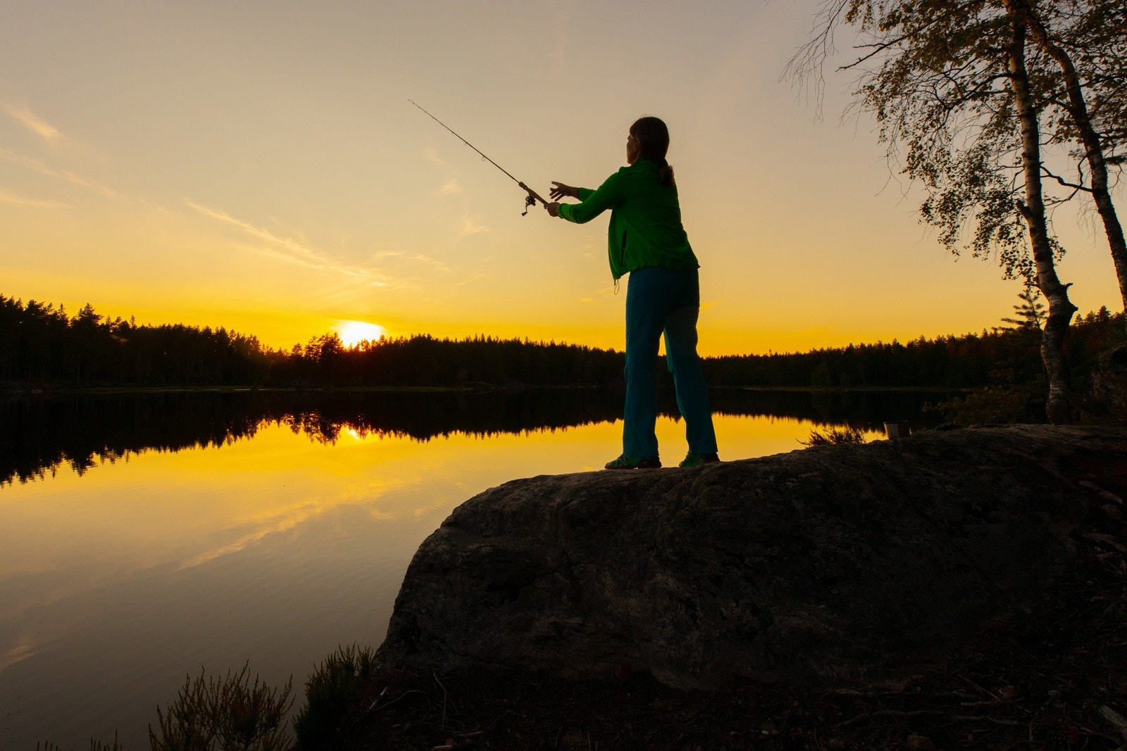 Østmarka. Galleribilde