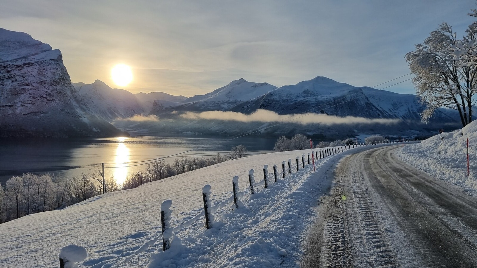 Selgers bilde Galleribilde