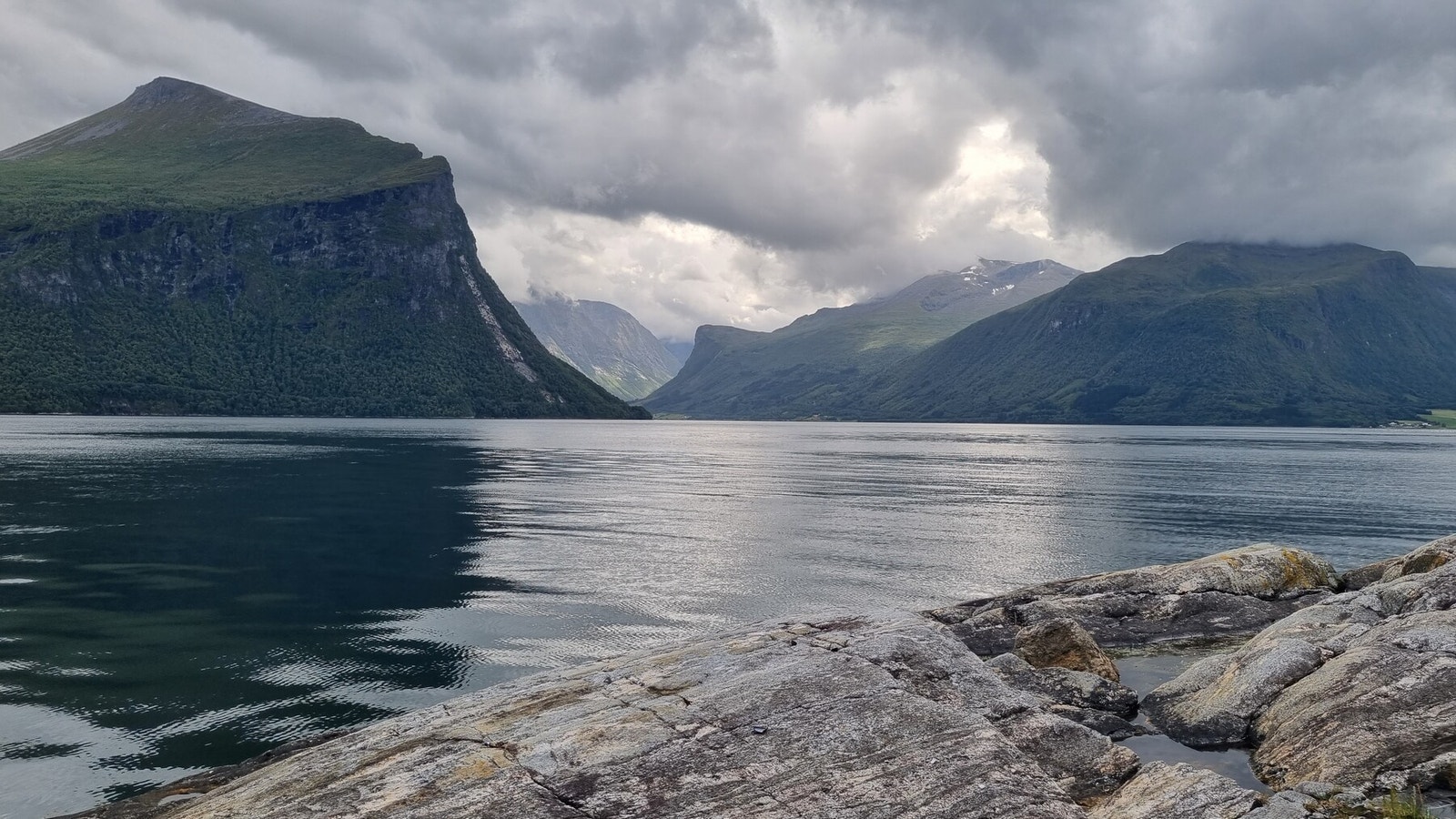 Selgers bilde Galleribilde