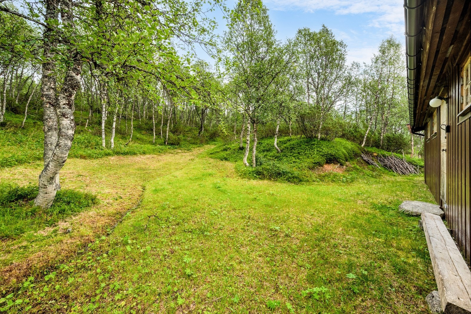 Uteområde. Galleribilde