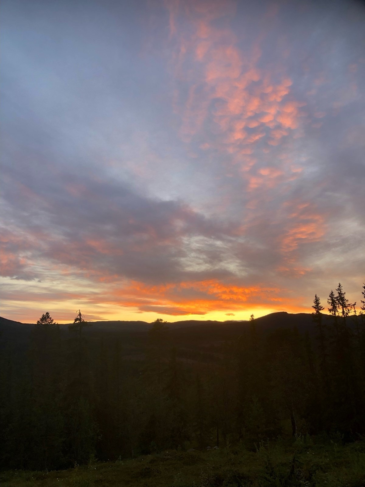 Selgers private foto. Galleribilde