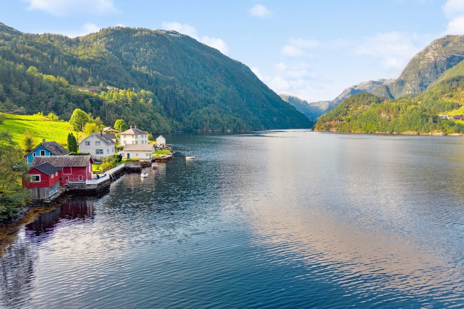 Velkommen til en hyggelig visning! Galleribilde