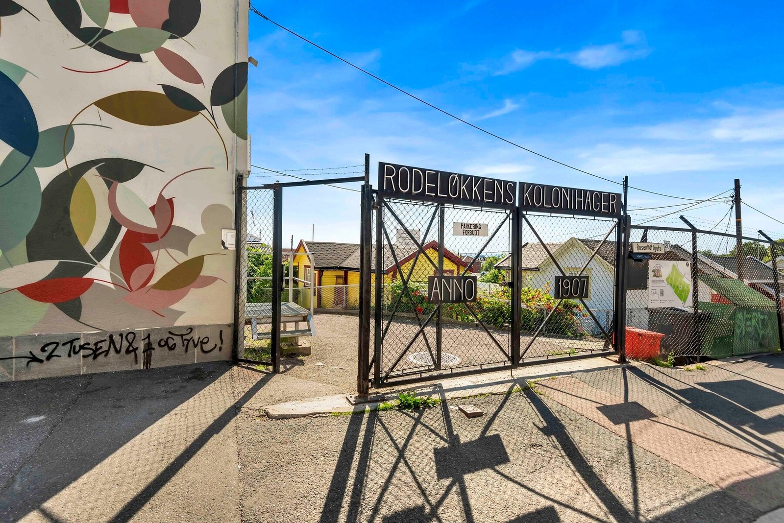 Velkommen til Oslos eldste kolonihage, for mer info: https://www.rodelokkenskolonihager.no Galleribilde