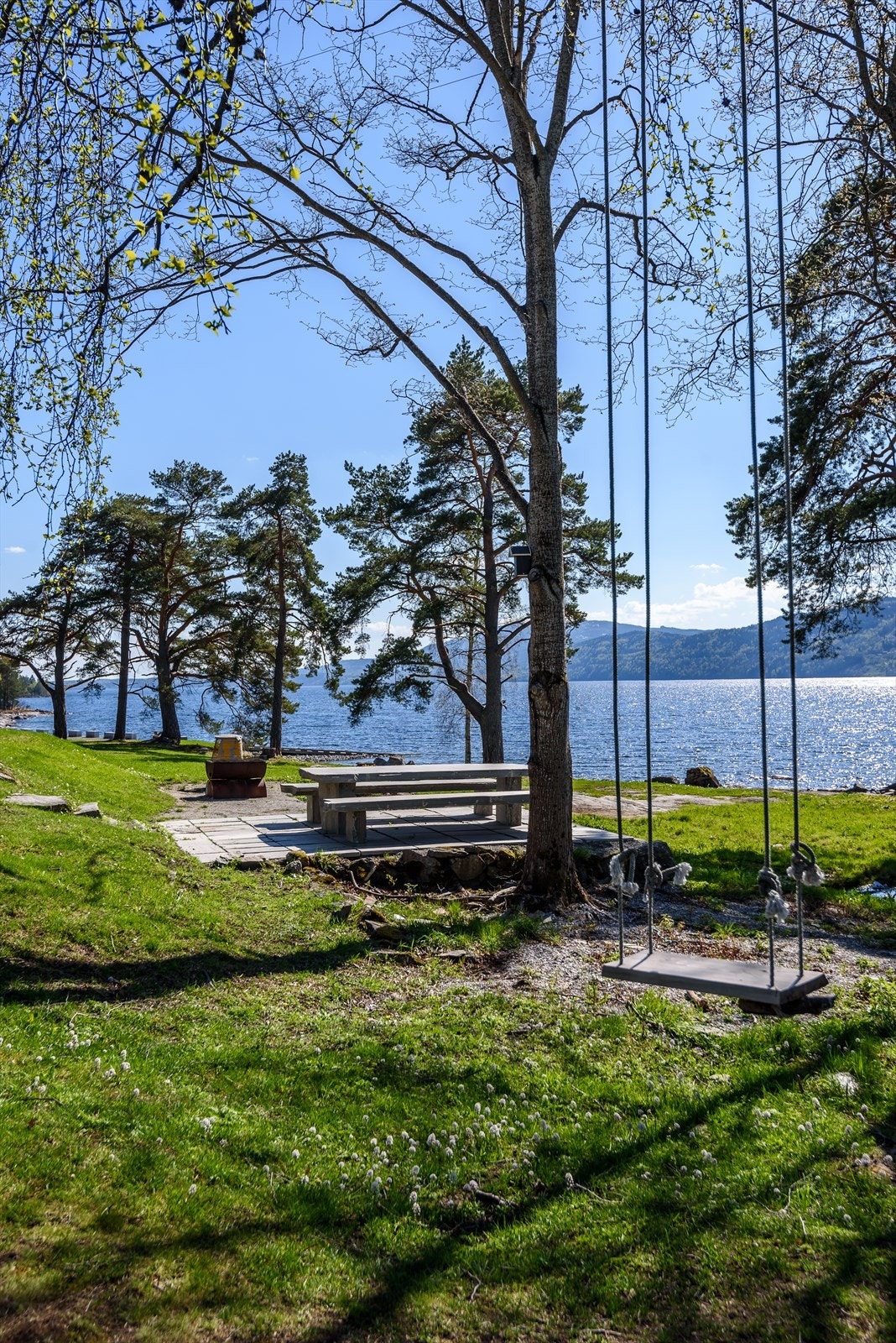 Nærområde Galleribilde