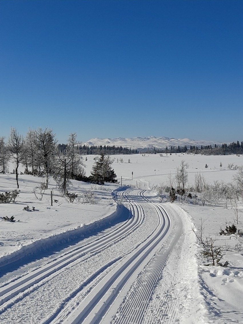 Et fantastisk løypenett for den som er glad i å gå på ski Galleribilde