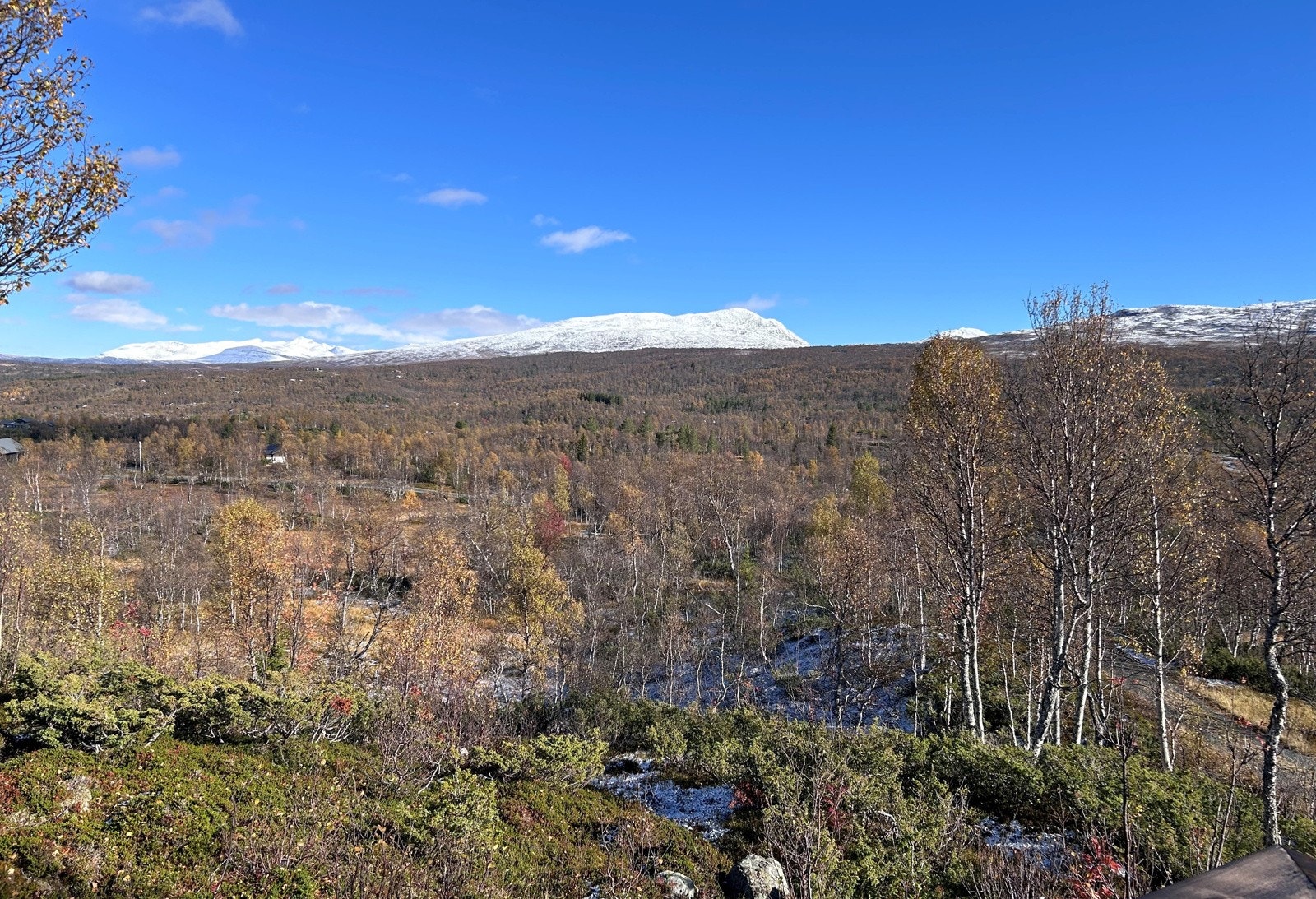 Velkommen til visning! Husk visningspåmelding for å delta på fellesvisninger. Galleribilde