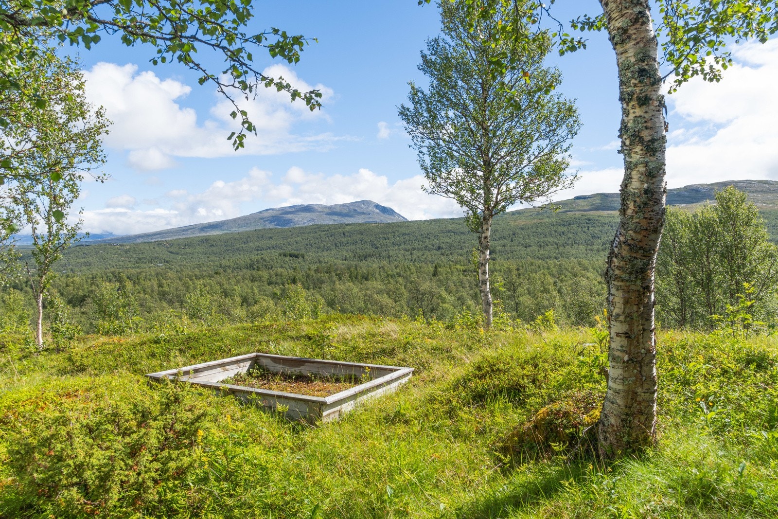 Hytta er flott beliggende i attraktive Dalslia hyttefelt. Galleribilde