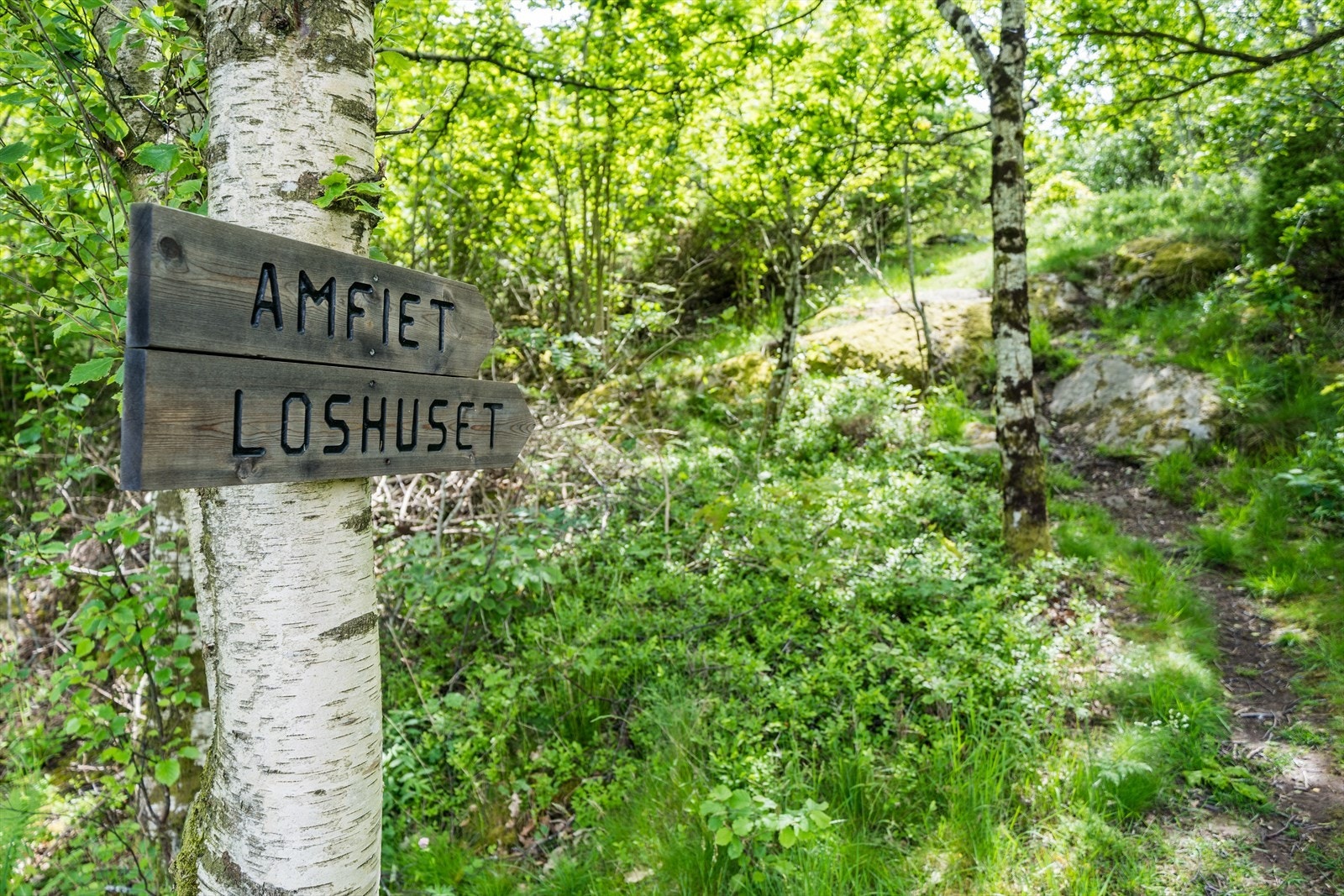 Annet Galleribilde