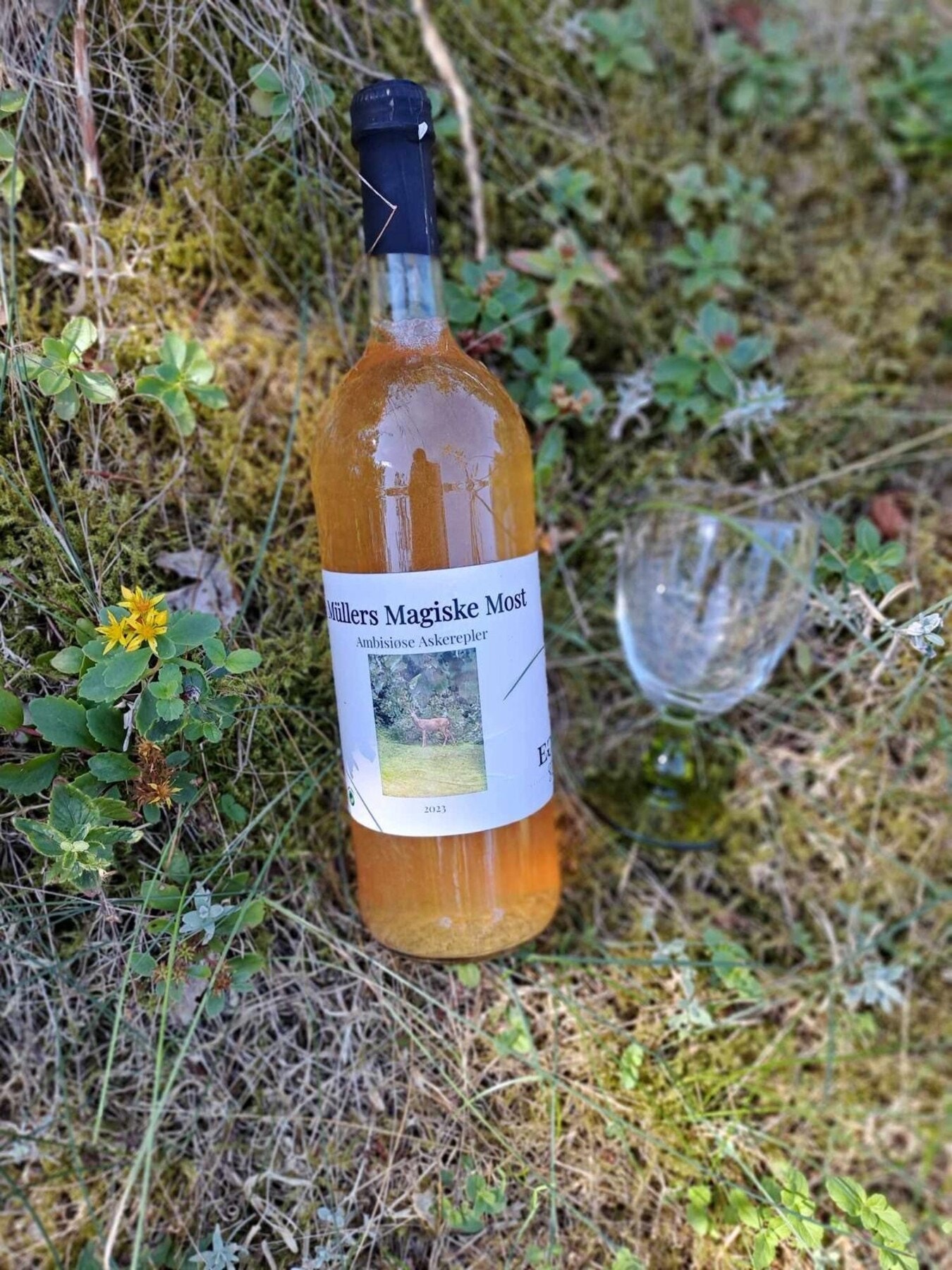 Müllers Magiske Most produsert av eplene i hagen. Galleribilde