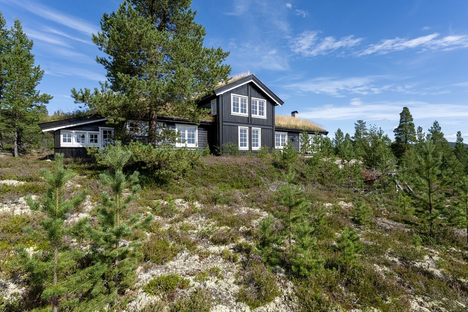 Tomten består i hovedsak av naturtomt med lyng, bar- og løvtrær samt øvrig naturlig vegetasjon Galleribilde