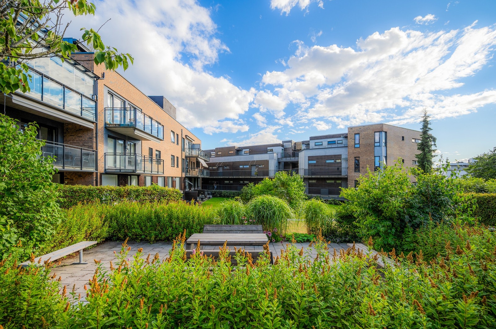 Mellom byggene har beboerne en grønn oase, skjermet fra trafikk og støy. Galleribilde