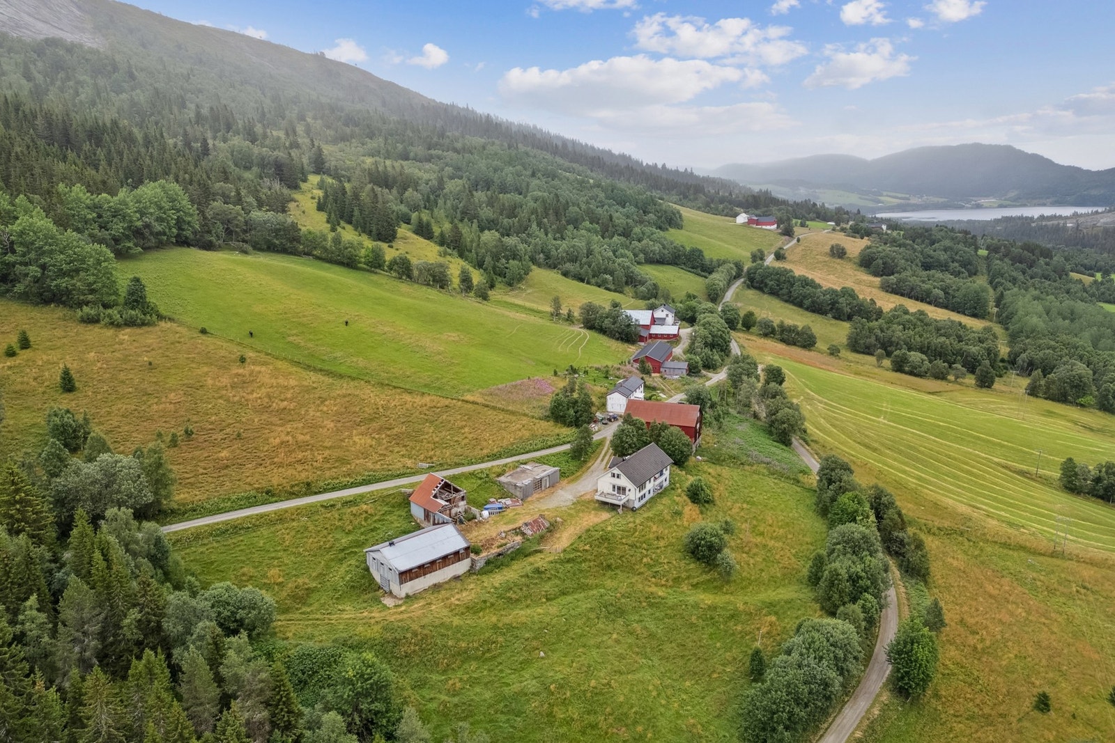 Velkommen til Dorodalsvegen 398! Galleribilde