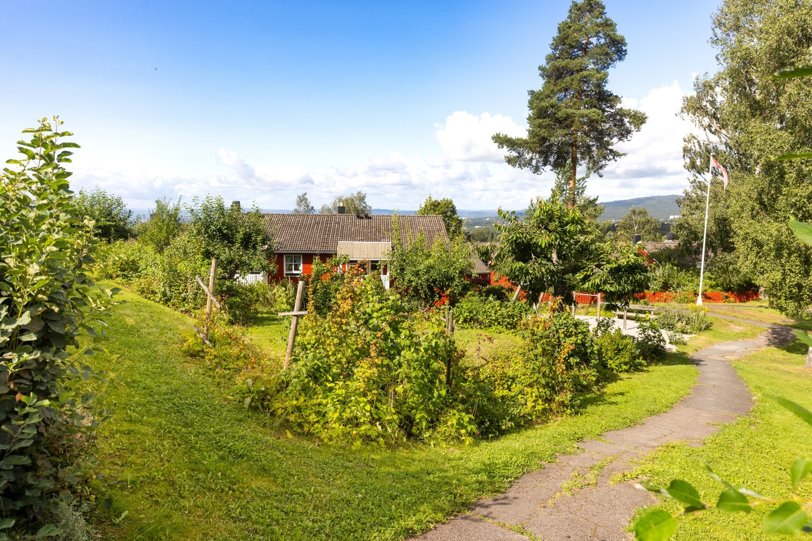 Felles hage med frukttrær og bærbusker. Galleribilde