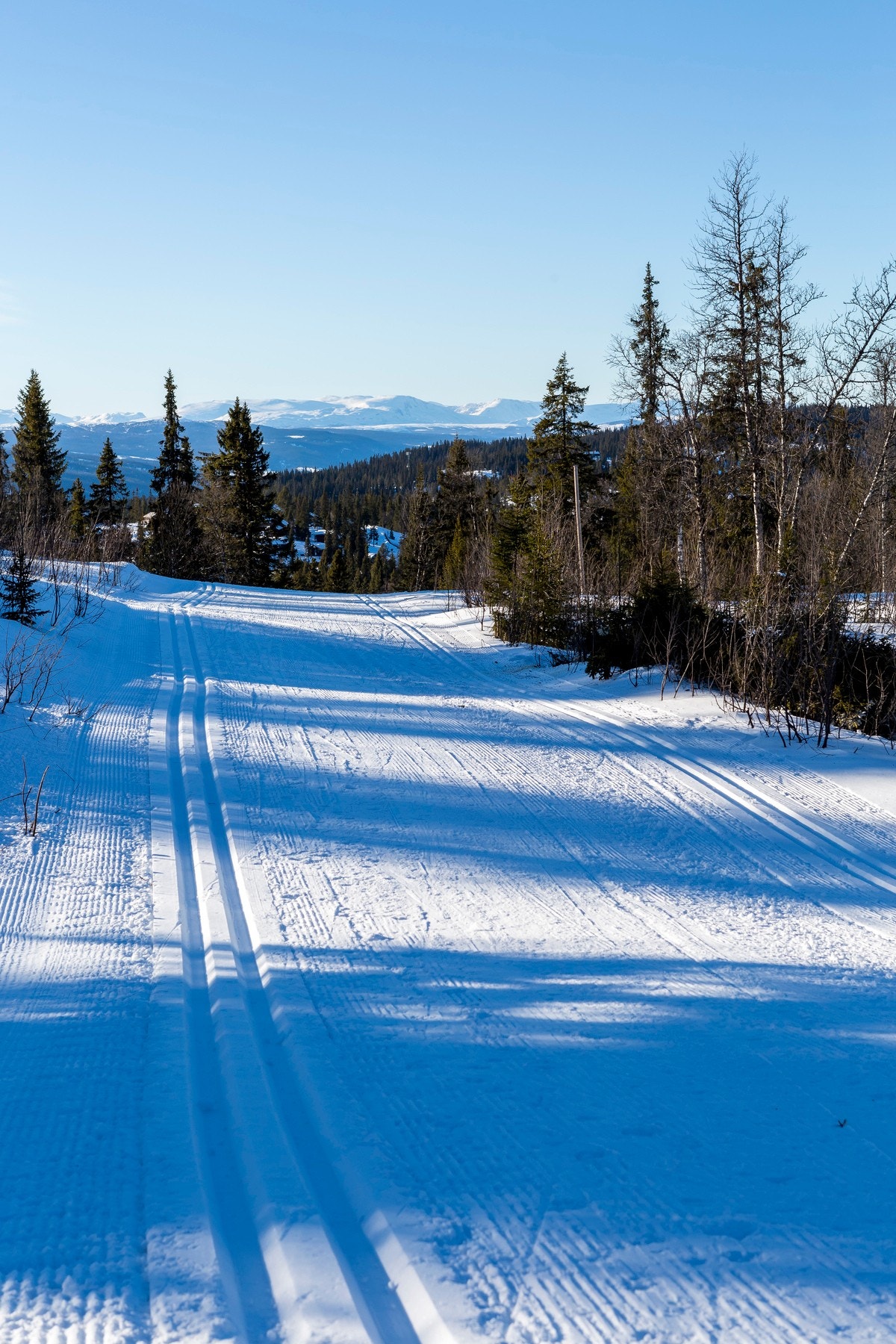 Skiløypene tar deg milevis avgårde Galleribilde