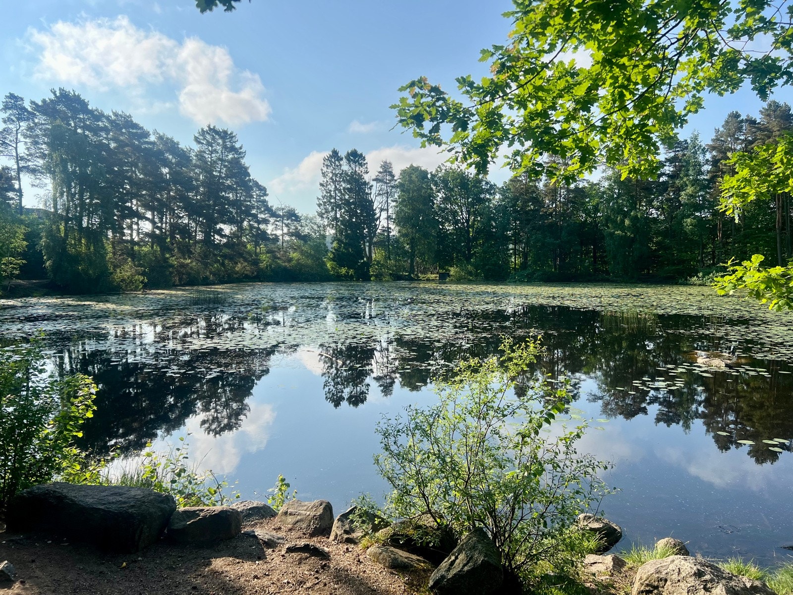 Her venter fine turer rundt Brydedammen Galleribilde