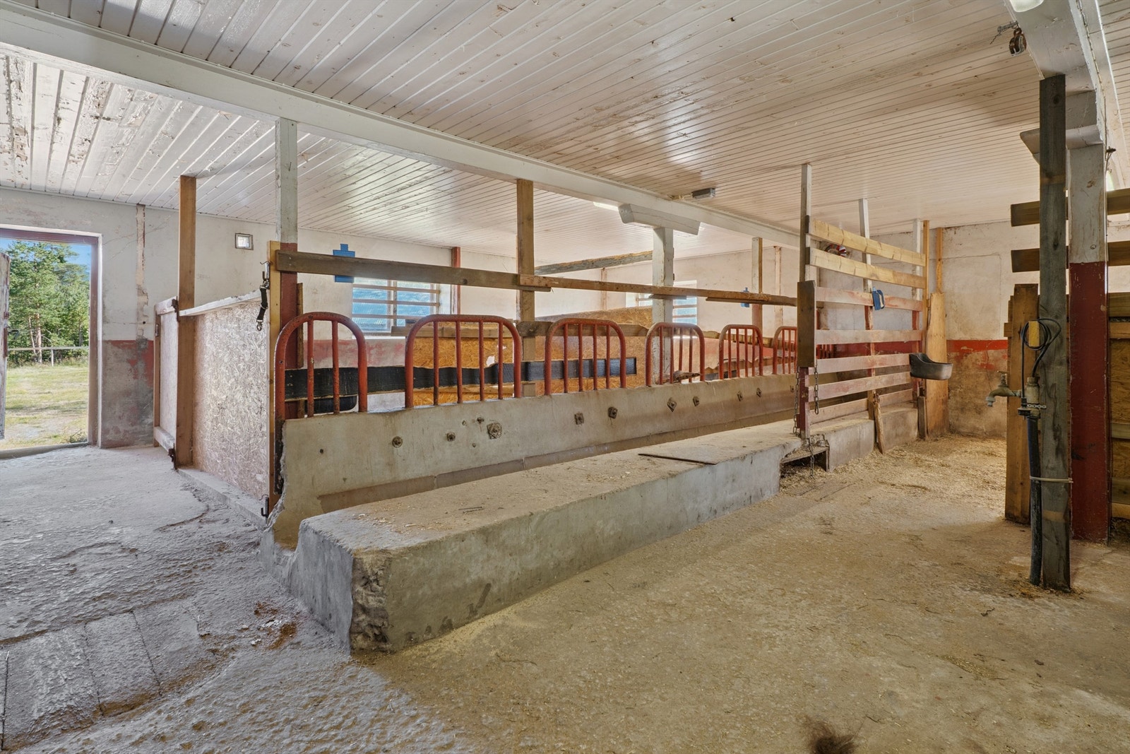 Fjøs innredet med stallbokser for hest. Galleribilde