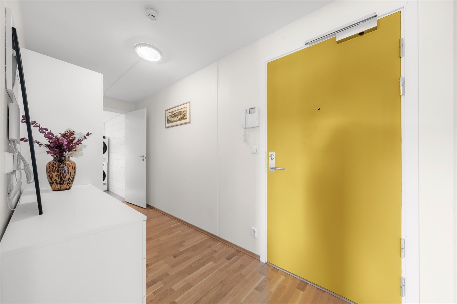 Romslig entré med god plass til oppbevaring av yttertøy og sko. Galleribilde