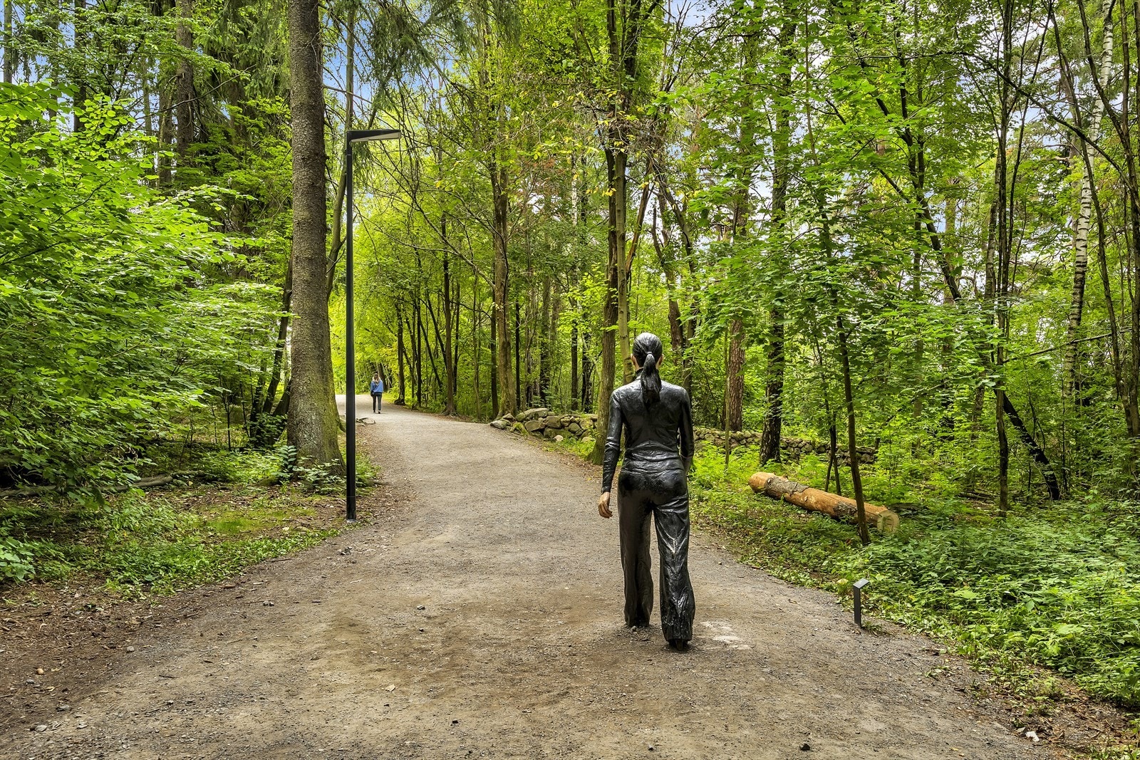 Områdebilde. Galleribilde