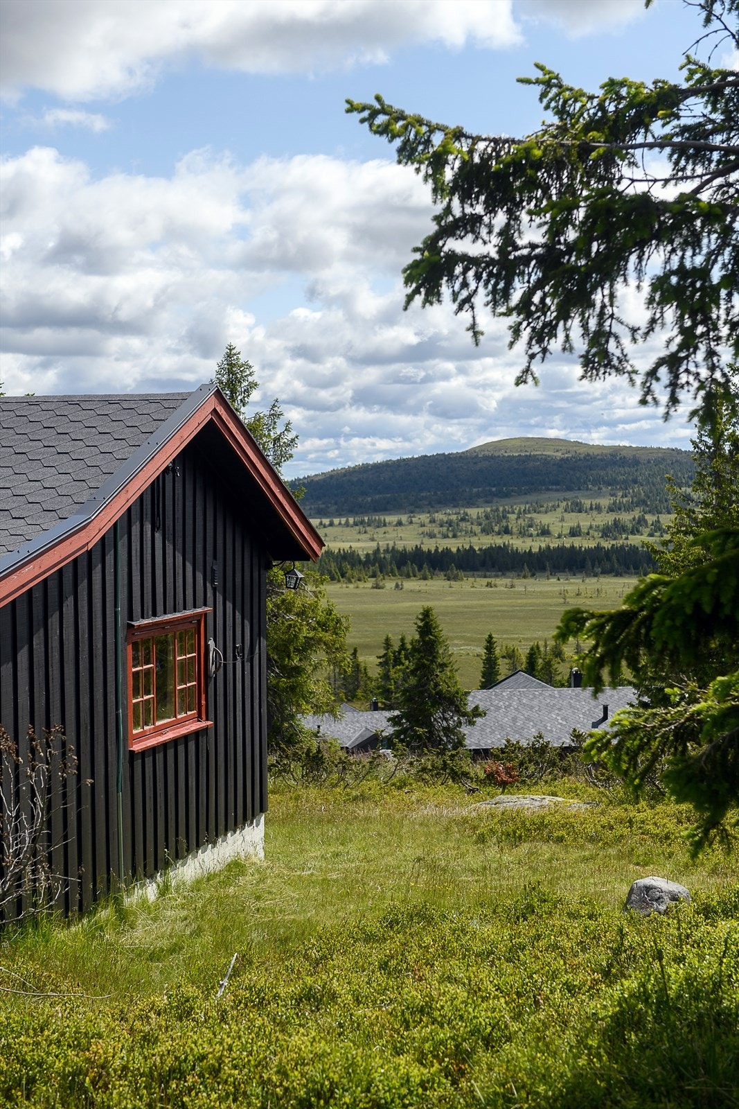 Hytta ligger med fin utsikt innover fjellet. Perfekt turområde med skiløypa like i nærheten og et rikholdig sti-og veinett for turer. Galleribilde