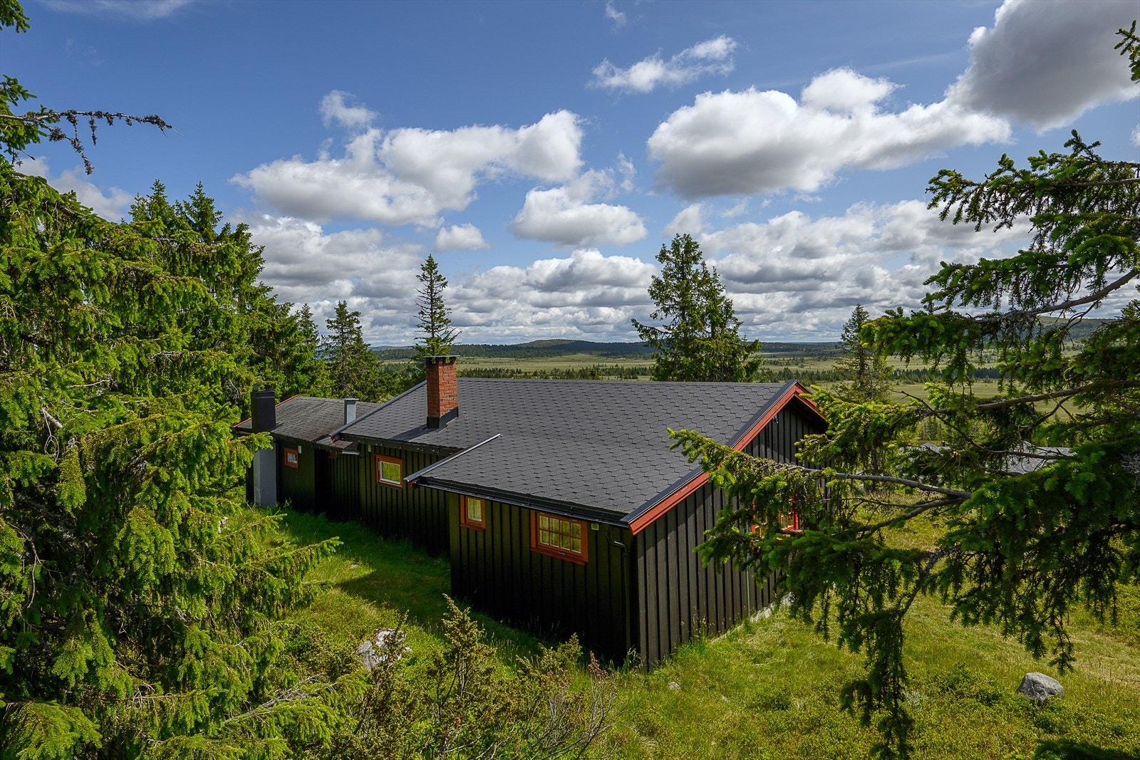 Trivelig hytte med attraktiv beliggenhet i flotte omgivelser på Storåsen v/Sjusjøen. Galleribilde