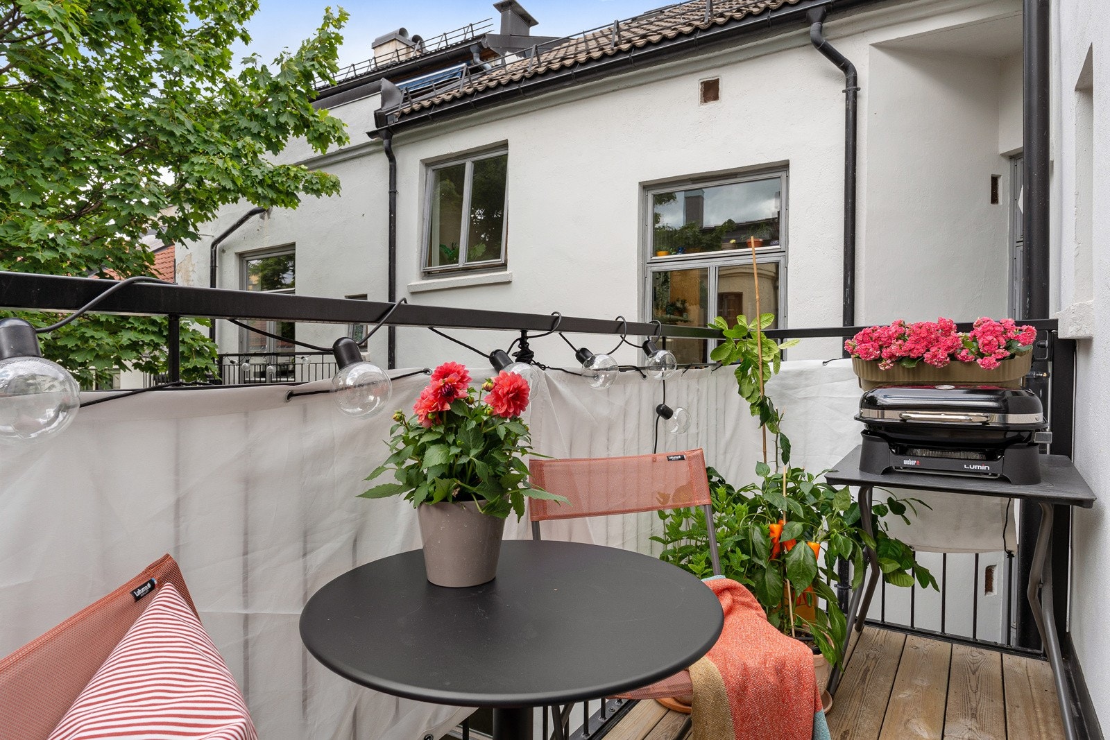 På sommeren er det sol ca. kl. 15.00-19.30. Solen kommer fra syd, går etter hvert bak treet, og kommer tilbake en liten stund sent på kvelden. Galleribilde