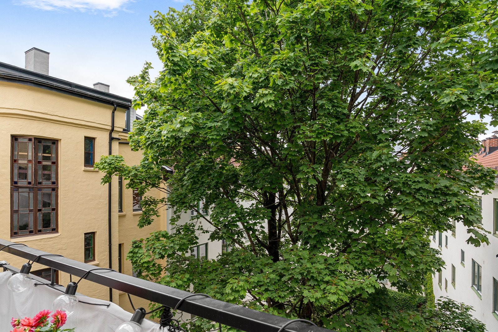 Grønt og vidt utsyn fra balkongen Galleribilde