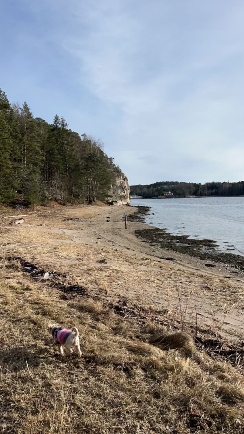 Det er en rusletur til nærmeste badestrand Galleribilde